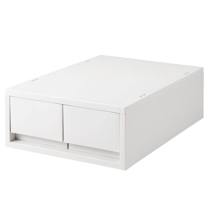 Shop Polypropylene Shallow Drawer Type Case 2 Drawers with