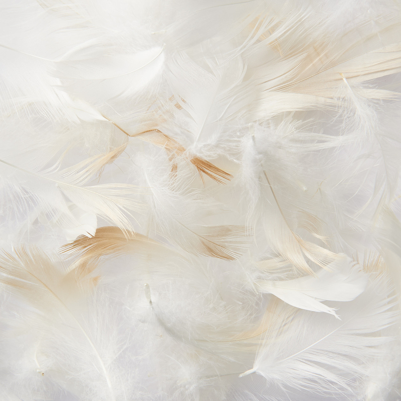 White top feather cushion
