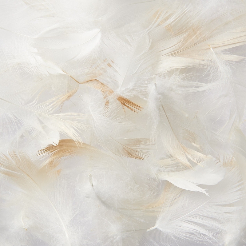 Muji feather pillow new arrivals